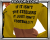 Steelers Fan Crop