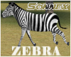 Zebra animated gallop