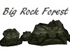 Big Rock Forest