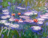 pf Water Lilies