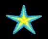 starfish  radio