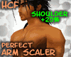 Perfect Arms +20%
