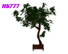 HB777 Tree Bench Solace