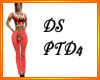 DS PTD 4
