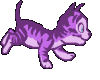 Purple Cat animation