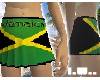 Jamaica pleated skirt