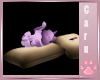 *C* Derivable Kitty Pose