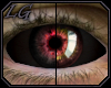 [LG] 2T Eyes Infernal
