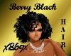 [B69]Berry BLACK