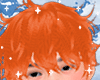 Zelh Ginger