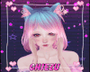 C | Blue Pink Cat