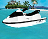 N. Animated Jet Ski
