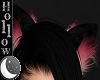 Beri Ears 2
