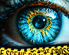 Myst Eye $