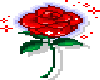 Red rose small