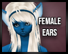 Zakia ears