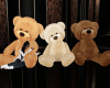 Ml Teddy Set