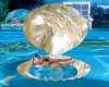 hovering mermaid shell