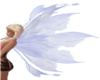Pixie Wings
