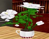 Rose plant in teacup