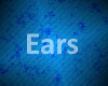[T] Anvhi Ears