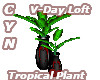 VDAyLoft Tropical Plant