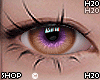 Oasis Honey Violet F/M