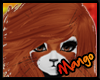 -DM- Red Panda Hair F