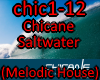 Chicane - Saltwater