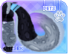 [Pets] Amanda | tail v1