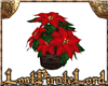 [LPL] Christmas Poinsett