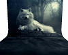 white wolf backdrop 