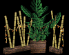 Bamboo with Lanterns