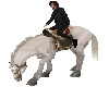 ! ! 2PersonHorse Ride