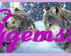 ~GgB~ Snow Kissed Wolves