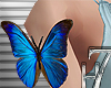 Anim.Blue Arm Butterfly