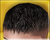 Short Hair  Black