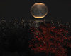 Pleine Lune Island