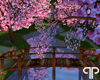 Sakura Garden