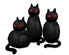 Black Pumpkin Cats