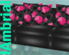 Camelia long couch bp