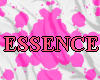 Essence | Whisps
