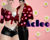 Couple Santai F