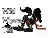 Wild Whorse Tail