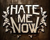 Hate Me Now Part 1