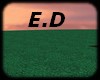 E.D GRASS SCENE
