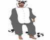 Male Lemur