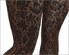 LLT tights winter lace o