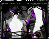+Sora+ Shu Fur M1