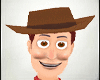 Woody Outfit